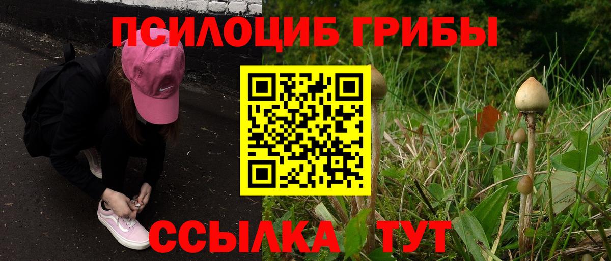 Галлюциногенные грибы прущие грибы Всеволожск